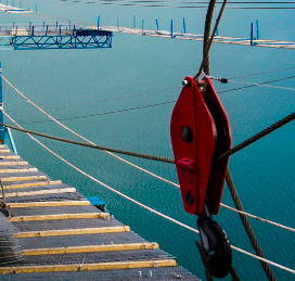 懸索橋施工過程中起重滑車的作用